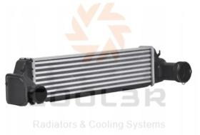 R.D. 102009J81 - INTERCOOLER BMW SERIES 3 E46