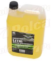 R.D. 10WIX050 - LIMPIAPARABRISAS 5L